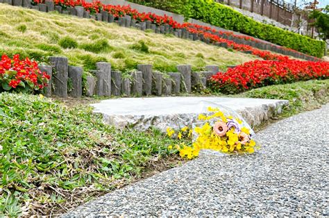 花蓮樹葬|樹葬、花葬…5種環保葬比一比！17縣市收費標準、政府鼓勵金及。